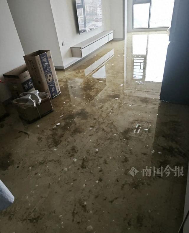 婚房被粪水浸泡！业主崩合作项目溃：全屋都是无法接受